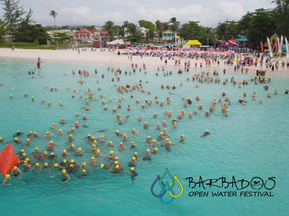 Barbados Open Water Festival race start 2017