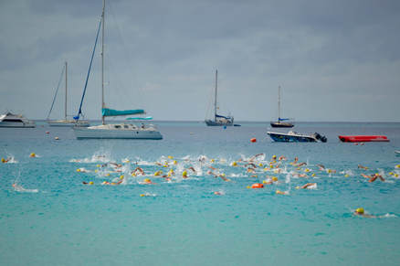Barbados Open Water Festival Carlisle Bay